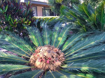 2 Bedroom Flat & Apartment