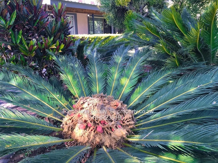 fully furnished 2 bed to let