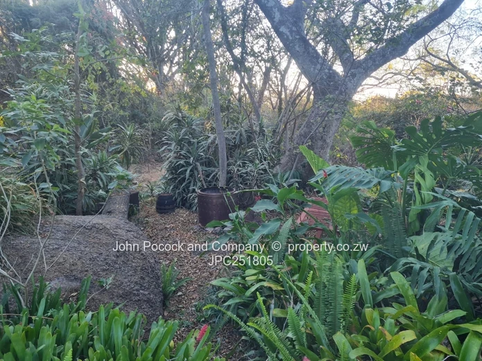Furnished 4-Bed Burnside Home with Pool & Lush Garden