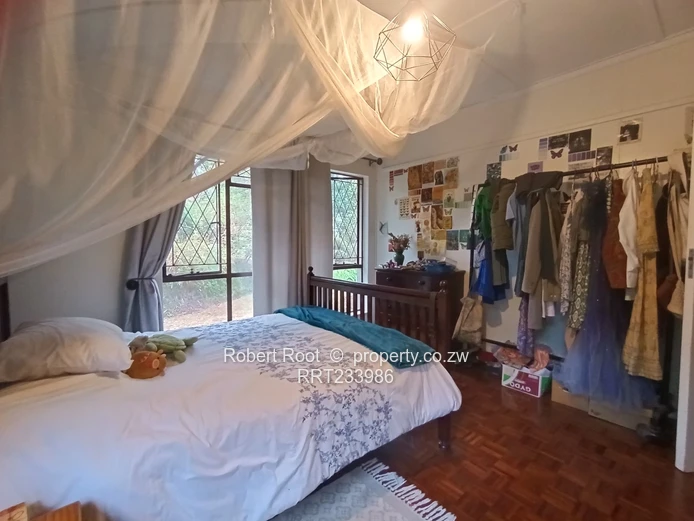 5 bed family home on the Ridge Avondale