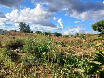 Commercial & Industrial Land