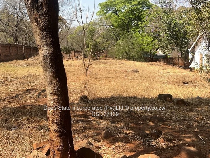 Borrowdale Helensvile house for sale 