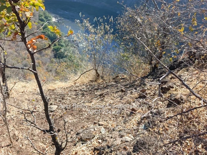 Zambezi Gorge Frontage