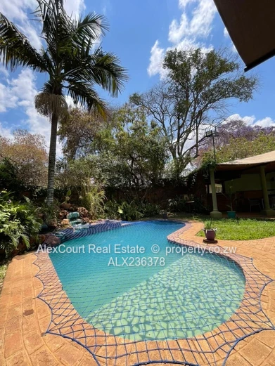 Beautifully Built House In Avondale West