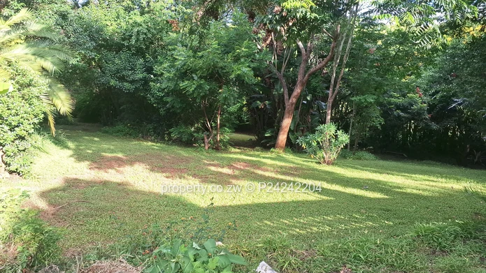 Greystone Park $185K