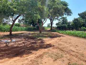 3 Bedroom Flat & Apartment