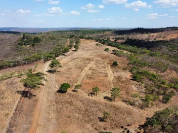 Farm & Agricultural Land