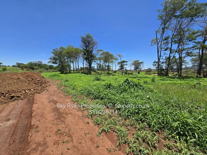 Tynwald Stands For Sale 