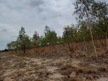 Farm & Agricultural Land