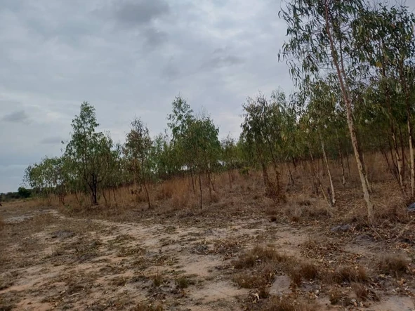 Farm & Agricultural Land