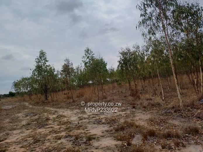 Headlands Eagle Nest Plot for sale (Sole Mandate)