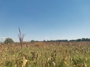 Commercial & Industrial Land