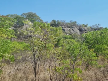 Farm & Agricultural Land