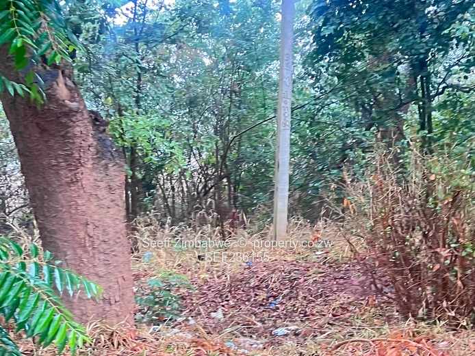 Land For Sale In Mandara