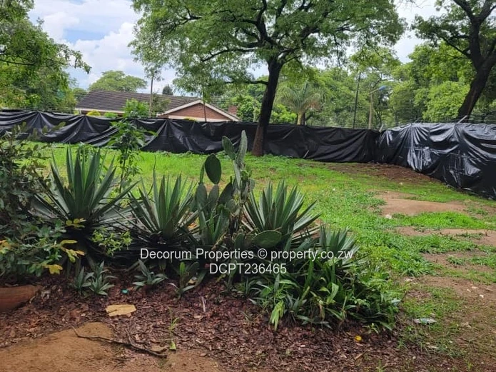 Beautiful stands Borrowdale Kinsley Estate