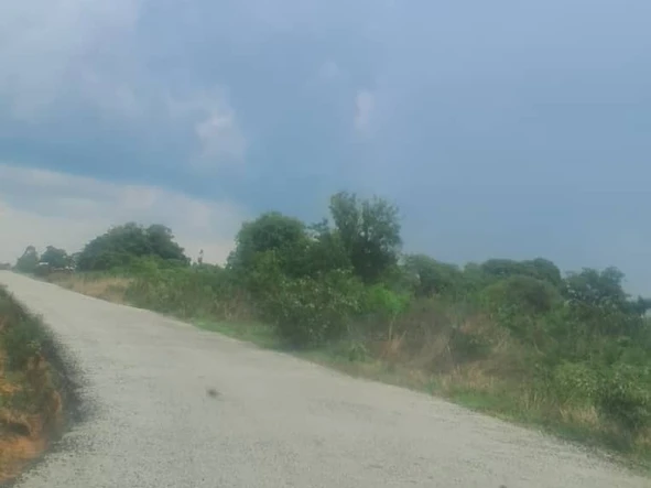 Farm & Agricultural Land