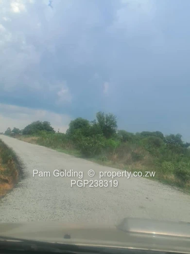 Perfect Agro-Residential Plot (Sole Mandate)