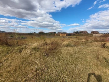 Land