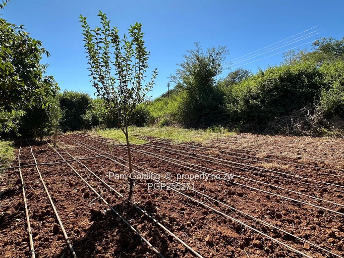5 Acre Plot With So Many Extras