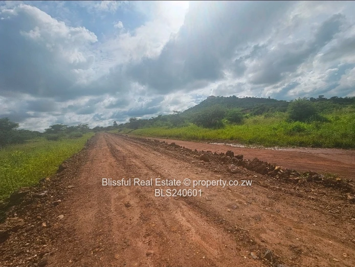 Stands for sale in Doornfontein 