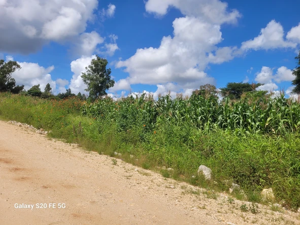 Stands & Residential Land
