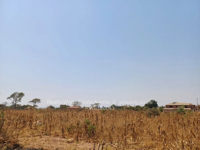 Rydale Ridge Stand For Sale 