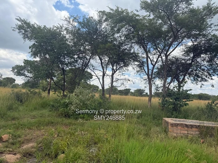 Farm for rent 
