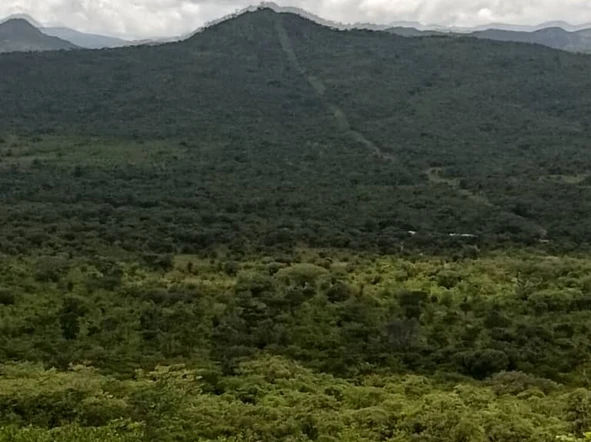 Farm & Agricultural Land