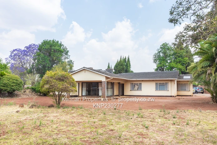 Renovator's Dream - Nostro!