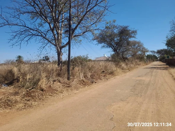 Stands & Residential Land