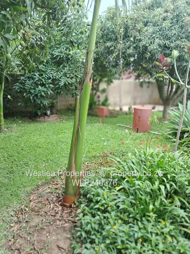 An opportunity not to miss