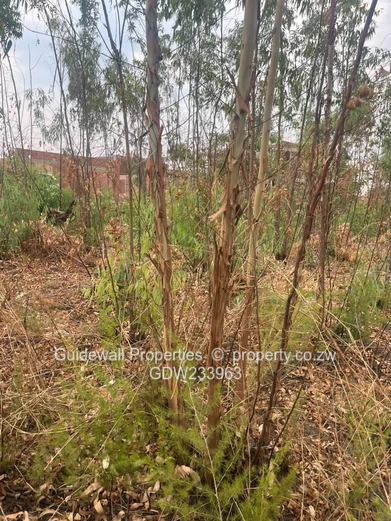 Tynwald pleasant valley Cluster stand for sale