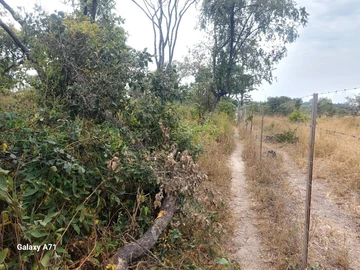 Farm & Agricultural Land