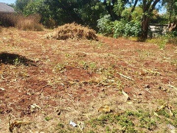 Stands & Residential Land