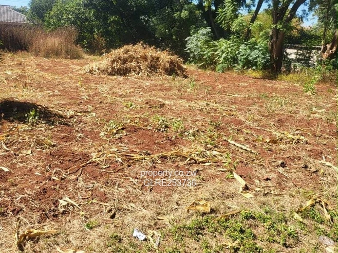 Cleared 1500 m² Stand in Quinnington — Subdividable