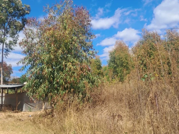Commercial & Industrial Land