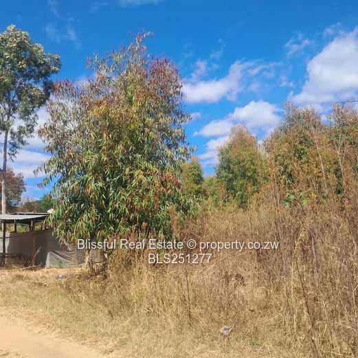 PRIME 2000m² SERVICE STATION STAND - HARARE-MUTARE Highway 