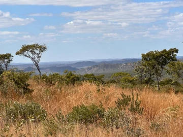 Farm & Agricultural Land