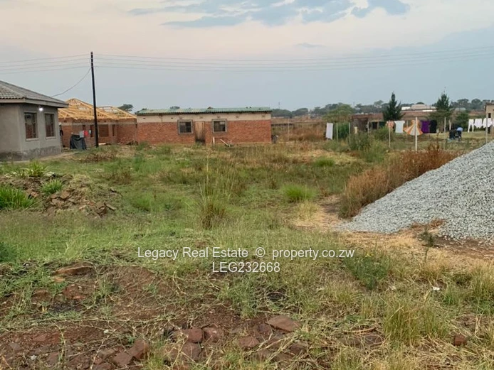 Norton Ngoni Stand for Sale