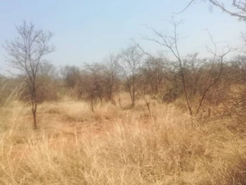 Farm & Agricultural Land