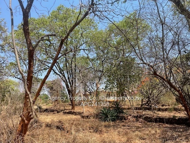 Ripe For Development