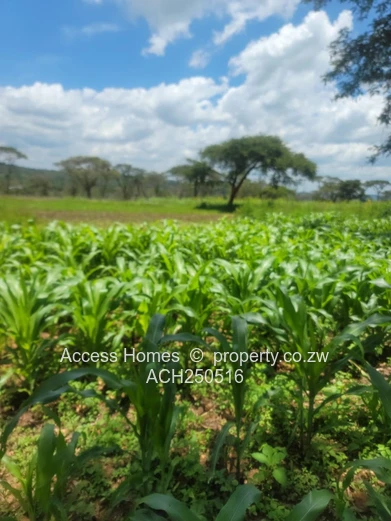 Glenforest agro residential plot 