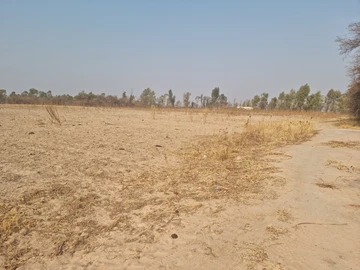 Farm & Agricultural Land