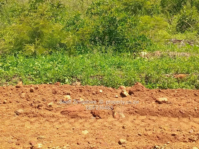 Great investment opportunity in Rydale Ridge (Sole Mandate)