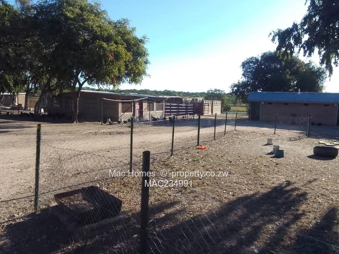 20ha Melfort Farm — Dam, Grazing, Cattle Kraal & Homes