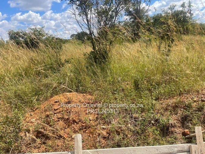 1200sqm in Luna Estate, Nyabira (Sole Mandate)