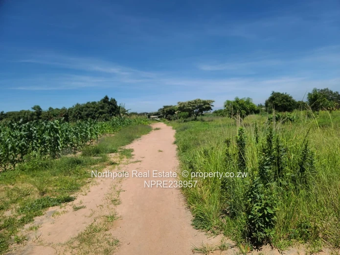 Eye Court Waterfalls Stand For Sale