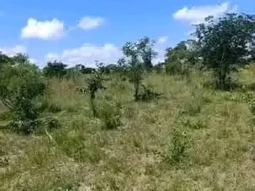 Farm & Agricultural Land