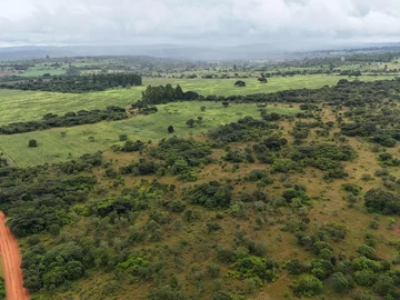 Farm & Agricultural Land