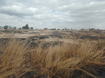 Farm & Agricultural Land